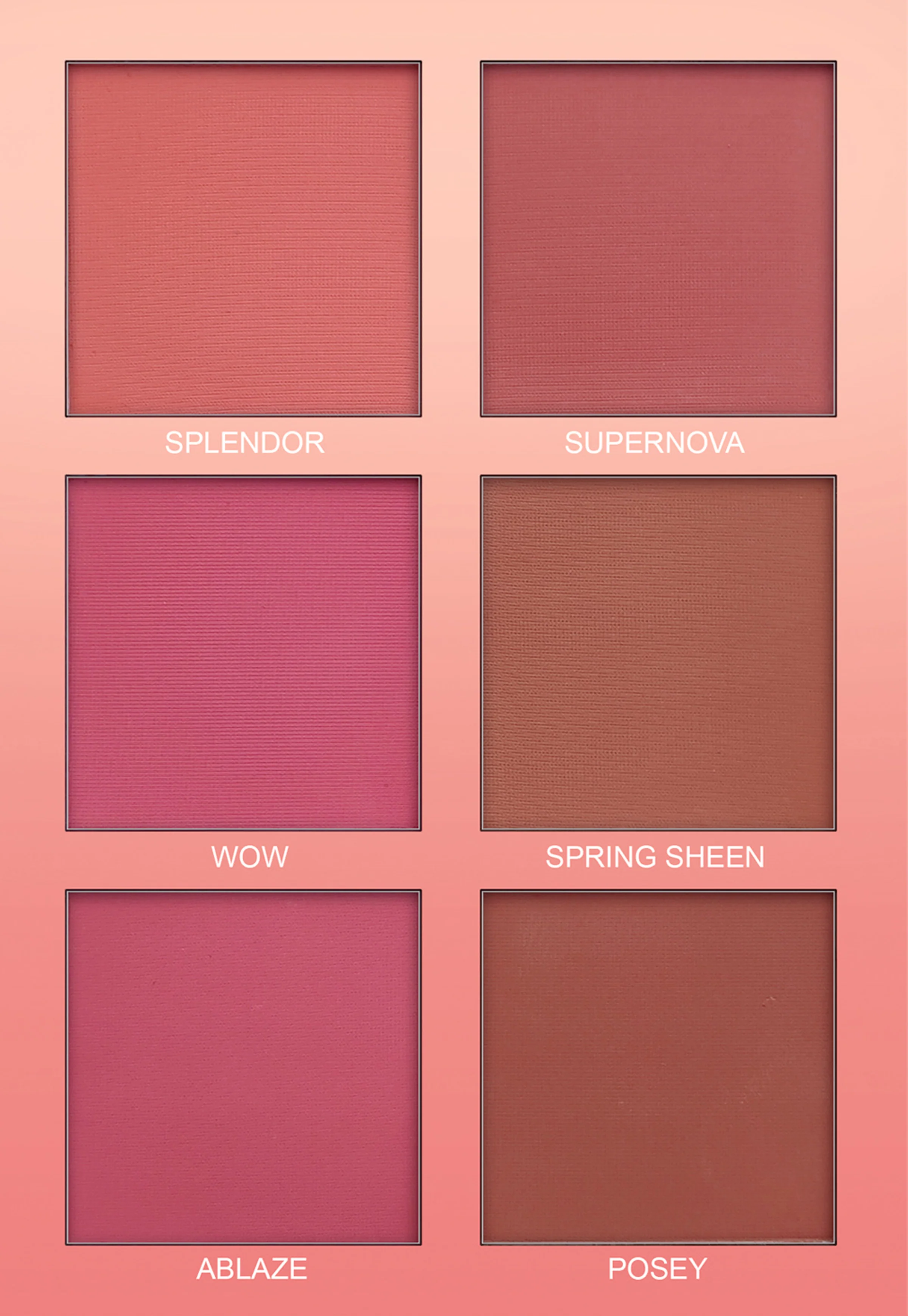 Bridal Book Professional Makeup Kit - Image 7